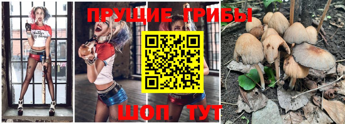 Галлюциногенные грибы мухоморы Нефтекумск